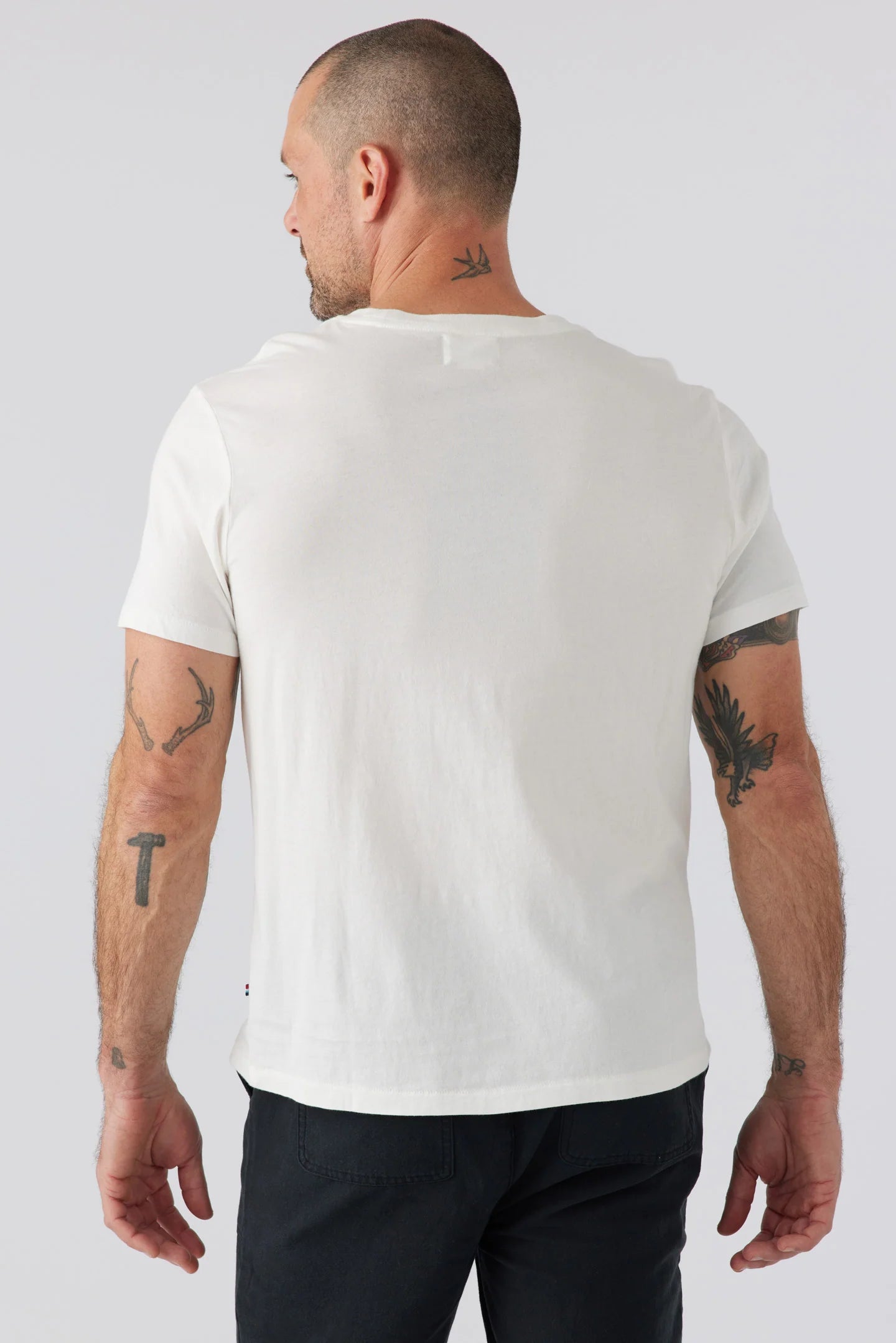 sol angeles cali bear sunset tee white back