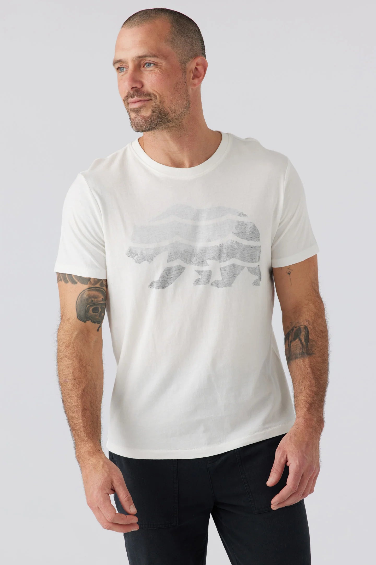 sol angeles cali bear sunset tee front